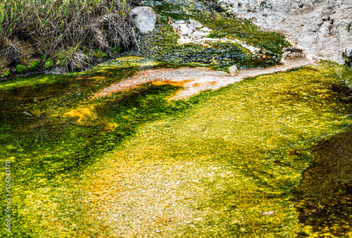 Close-up of the earth surface, Waimangu Volcanic Valley, Rotorua, North Island, New Zealand, Oceania. photo