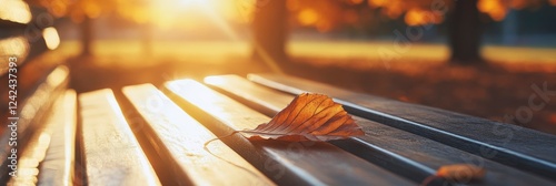 A wooden bench in an autumn park, with leaves scattered on it and the sunlight on blur background