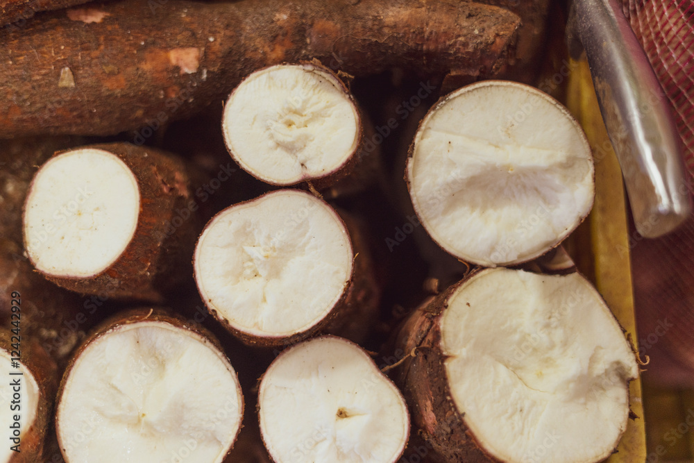 Cassava raw tuber (Manihot esculenta) Cassava raw tuber (Manihot esculenta)