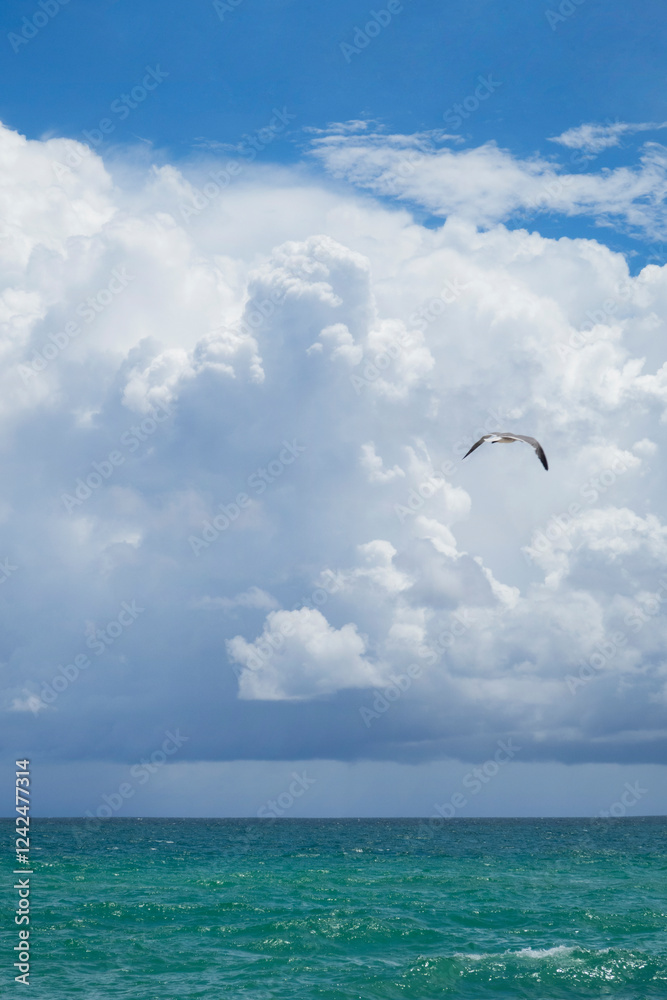 Miami beach turquoise ocean and blue sky with white fluffy clouds Miami beach turquoise ocean and blue sky with white fluffy clouds