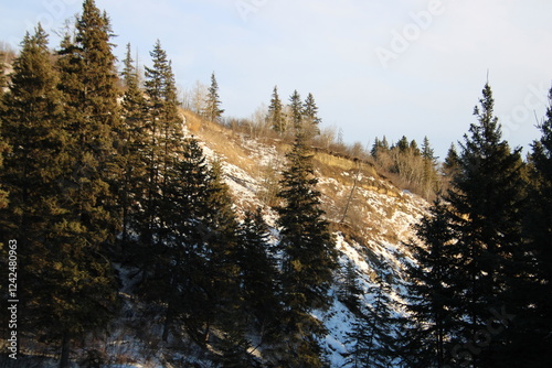 Winter On The Cliff, Whitemud Park, Edmonton, Alberta photo