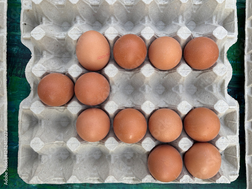 eggs in carton container