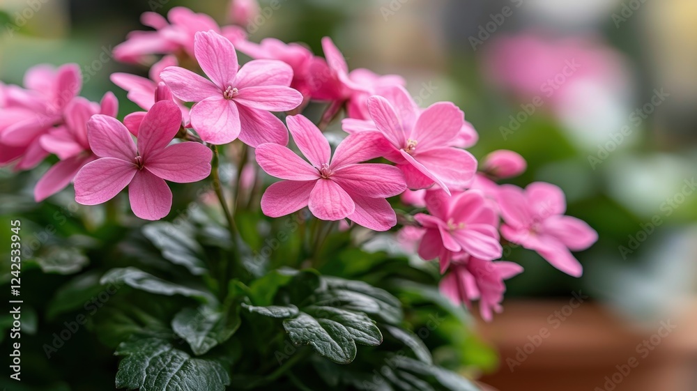 Fototapeta premium A close-up of vibrant pink flowers with green leaves, showcasing delicate petals in a soft, blurred background, evoking a fresh, serene garden atmosphere.