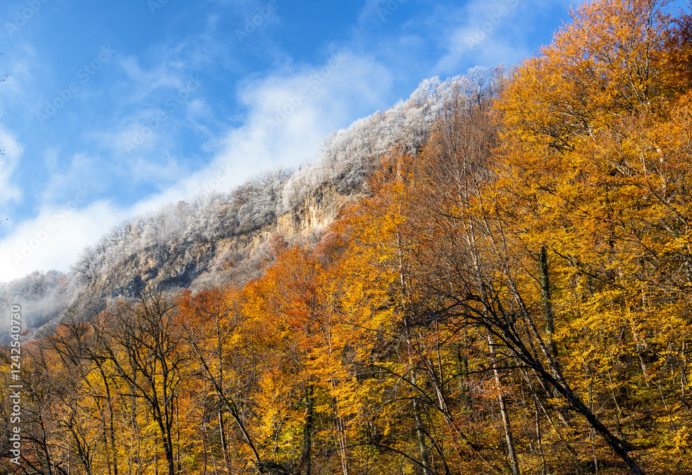 Fototapeta premium morning in a mountainous area, frost fell on the trees, the first rays of the sun awaken nature