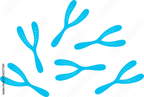 Antibodies