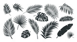 Tropical leaves silhouette clipart set. Leaf drawing icon and sign clip art collection like palm, fern, monstera and banana monochrome elements vector illustration. 
