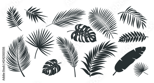 Tropical leaves silhouette clipart set. Leaf drawing icon and sign clip art collection like palm, fern, monstera and banana monochrome elements vector illustration. 
