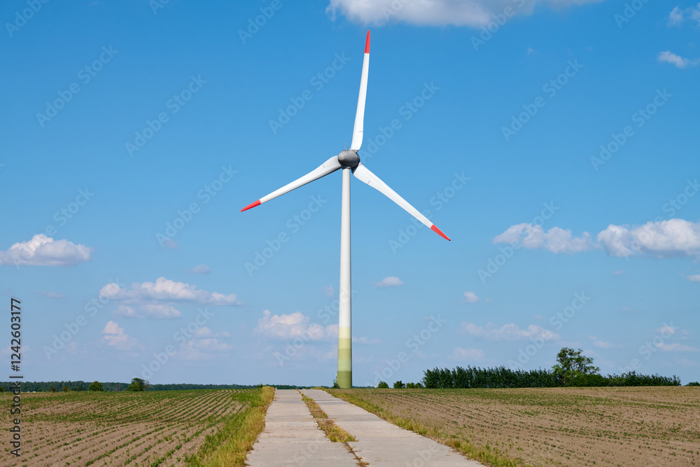 Fototapeta premium Wind turbine with red tipped blades stands beside cultivated wheat farmland and straight concrete road under clear blue sky evoking balance between human effort and natural resources