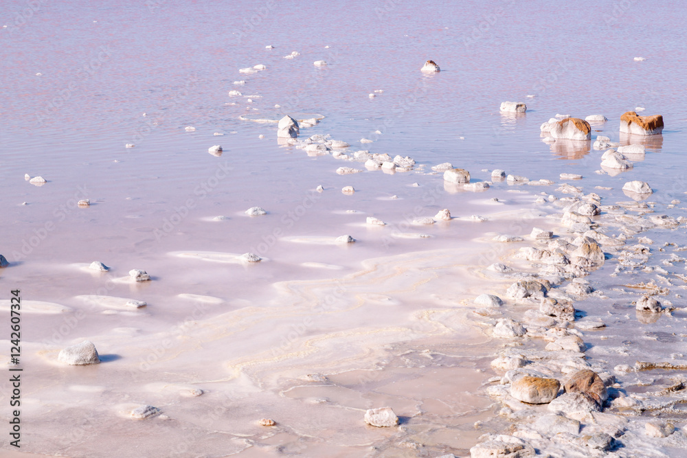 A line of rocks, some of which have been completely encrusted with salt in a pink lake, the color of which is caused by salt resistant bacteria, at Lake Bumbunga at Lochiel in South Australia. A line of rocks, some of which have been completely encrusted with salt in a pink lake, the color of which is caused by salt resistant bacteria, at Lake Bumbunga at Lochiel in South Australia.