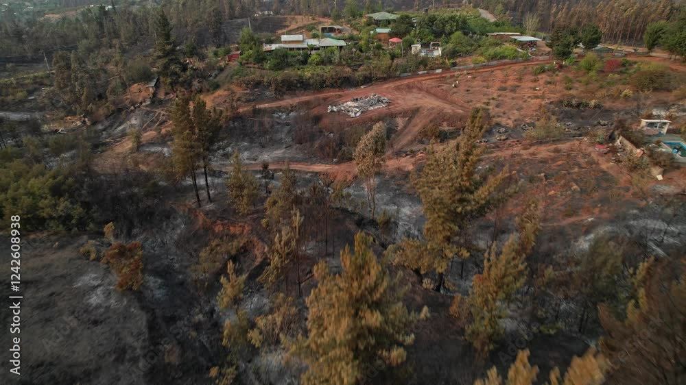 Aerial drone images of a forest fire in the rural sector of El Queime, Bio Bio region Aerial drone images of a forest fire in the rural sector of El Queime, Bio Bio region