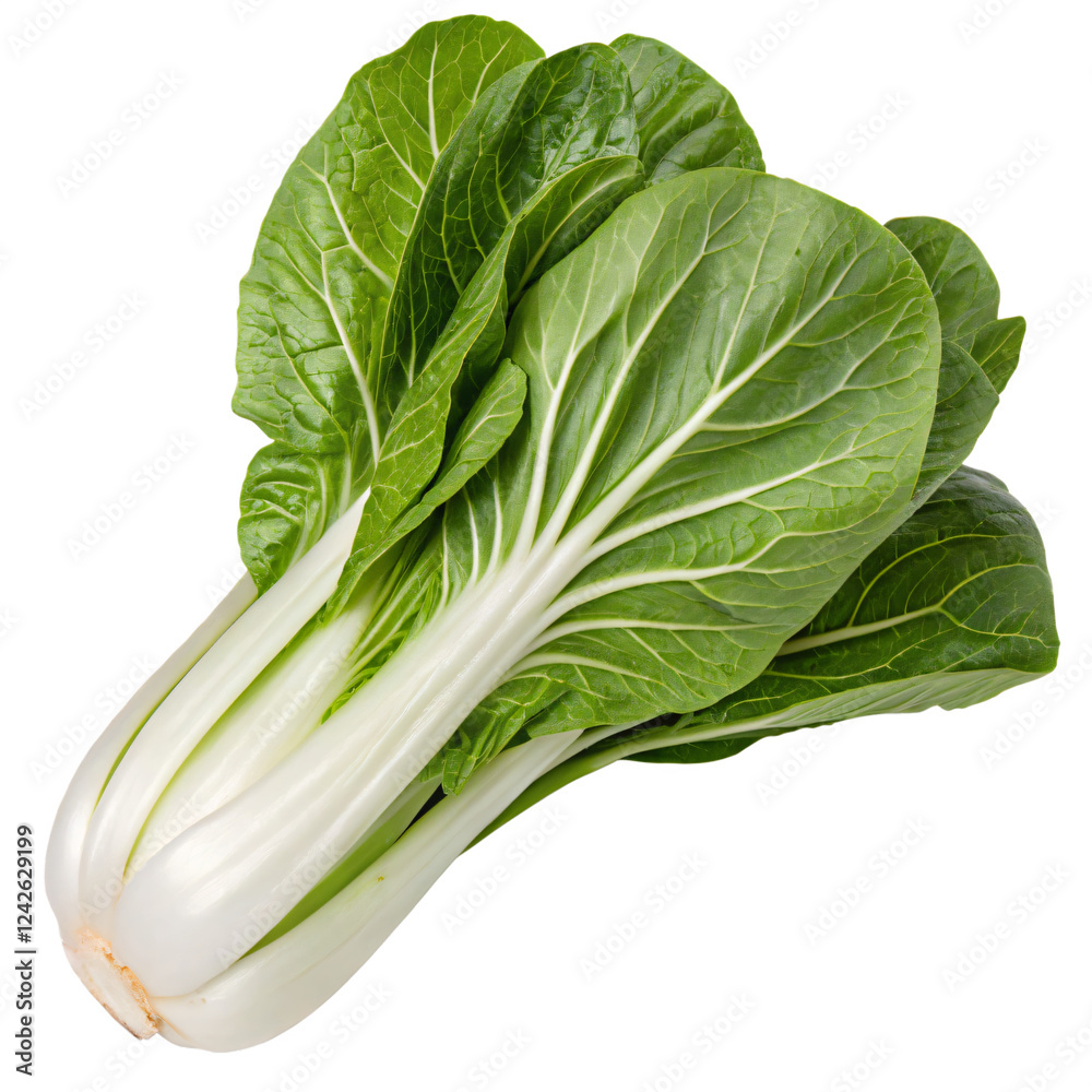 A fresh bok choy with bright green leaves and crisp white stems. The vegetable is vibrant AI Generative A fresh bok choy with bright green leaves and crisp white stems. The vegetable is vibrant AI Generative