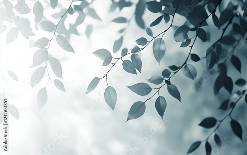 Sunlit leaves, branches, nature, bokeh, background, serenity, design, website