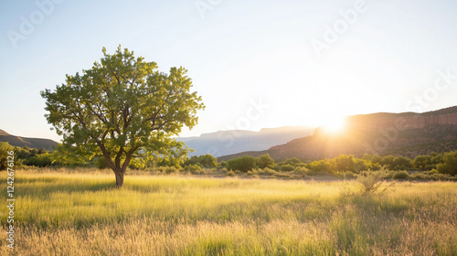 Golden Hour Serenity: A sol...