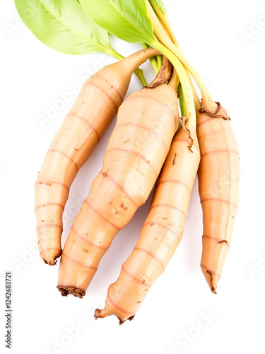 Fresh galangal rhizome (Alpinia galanga) isolated on white background. Galangal is a popular spice in Southeast Asian cuisine, similar to ginger but with a sharper flavor. photo