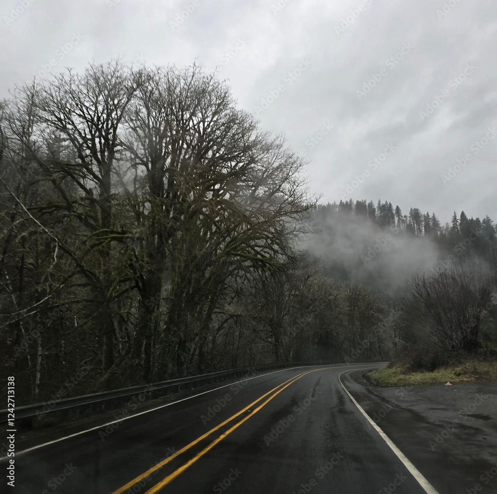 Spooky Roadway