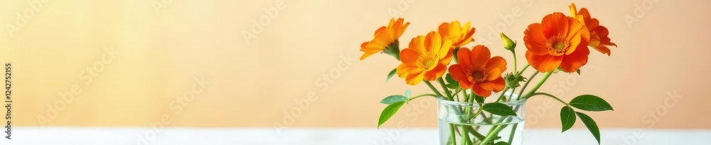 Fresh isolated calibrachoa flowers in a glass vase, glass, orange Fresh isolated calibrachoa flowers in a glass vase, glass, orange