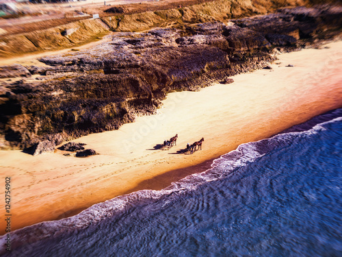 Vue aérienne spectaculaire d'un cheval attelé à un sulky courant le long du rivage, entre sable doré et vagues d'eau turquoise.