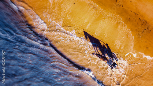 Vue aérienne spectaculaire d'un cheval attelé à un sulky courant le long du rivage, entre sable doré et vagues d'eau turquoise.