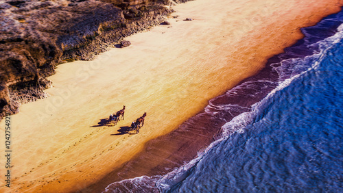 Vue aérienne spectaculaire d'un cheval attelé à un sulky courant le long du rivage, entre sable doré et vagues d'eau turquoise.