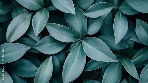 Lush teal leaves, botanical background texture.