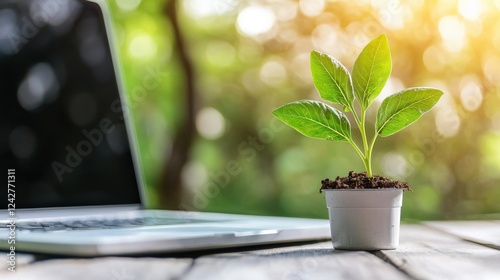 Promoting self-sufficient vegetable gardening during webinars