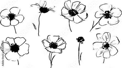 Hand-Drawn Flower Collection in Ink