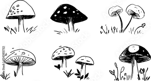 Hand-Drawn Mushrooms Collection in Black and White