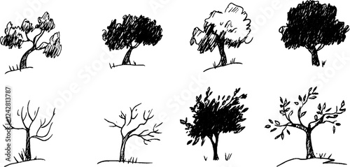 Hand-Drawn Tree Illustrations in Various Styles
