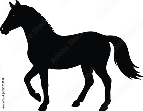 Morgan horse black silhouette,horse black vector