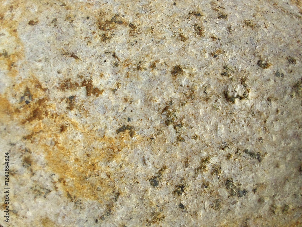 photo of the texture and pattern of a yellowish white stone photo of the texture and pattern of a yellowish white stone