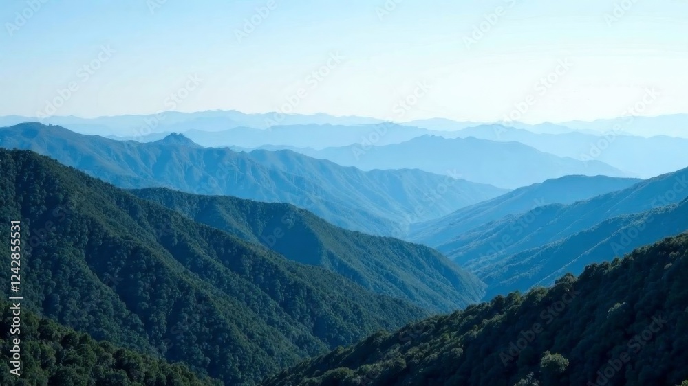 Naklejka premium view of mountains covered with trees. view from above