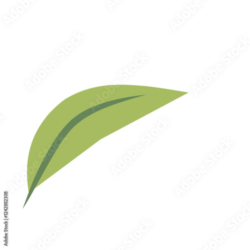 green leaf isolated on white