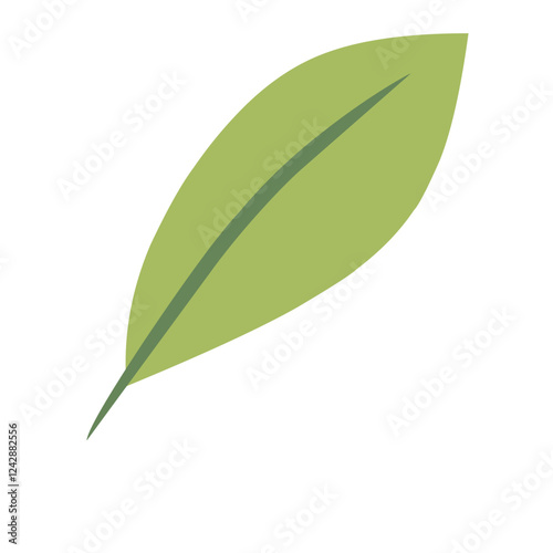 green leaf isolated on white
