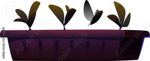 Plant in Pot
