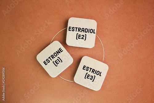 What are the 3 estrogens? The body makes three main estrogens Estrone (E1) Estradiol (E2) Estriol (E3). concept of menopause.