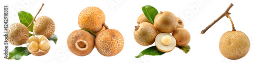 Longan isolated on transparent background, PNG, Set of