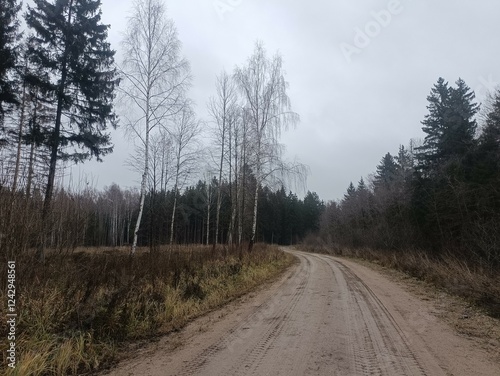 Road in forest in Siauliai county during cloudy autumn day. Oak and birch tree woodland. Cloudy day with white clouds in blue sky. Bushes are growing in woods. Sandy road. Nature. Fall season. Miskas. photo