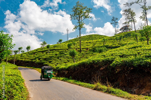 Ella, Sri Lanka. Driving through tea plantations