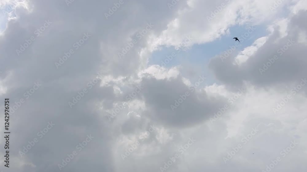 4k aerial video of dynamic cloud formations over an expansive sky showcasing the interplay of light and shadow on a sunny day 4k aerial video of dynamic cloud formations over an expansive sky showcasing the interplay of light and shadow on a sunny day