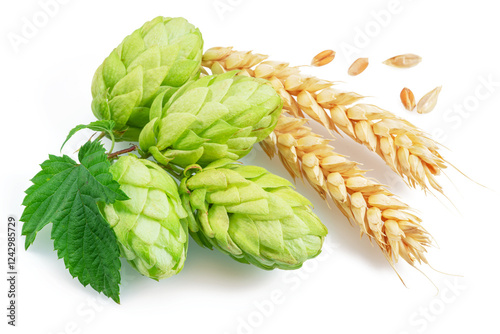 Fresh green hops or hop cone flowers and ripe golden wheat ears on white background. File contains clipping path. photo