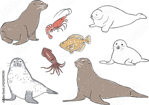 アシカとアザラシと魚介の手書きイラストセット