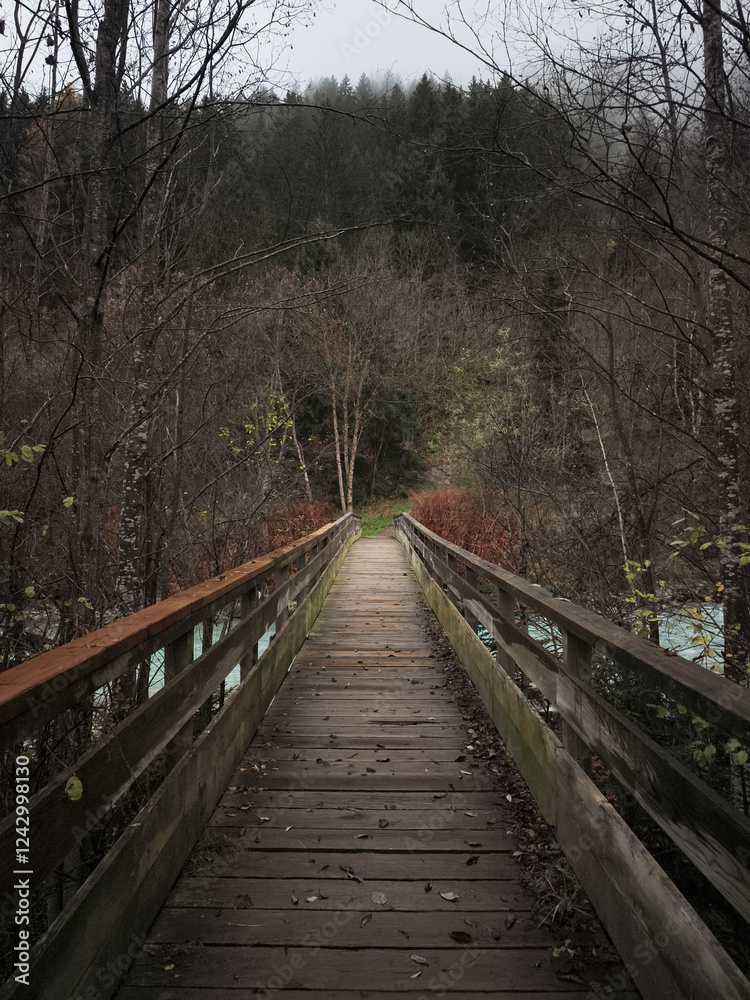 Fototapeta premium Wooden bridge crossing alpine river, leading into misty autumnal forest near mountainous chamonix landscape