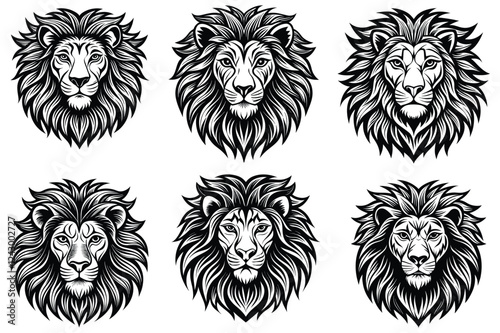 a highly detailed and stylized drawing of a lion vector line photo