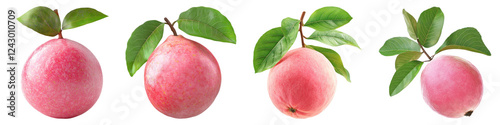 Fresh pink guava fruit with leaves isolated on transparent background, PNG, Set of