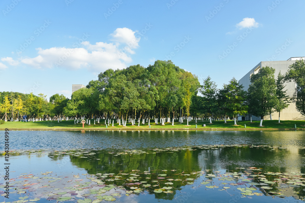 Fototapeta premium Early winter scenery at Yuanshi Park in Yinzhou District, Ningbo, Zhejiang Province, China