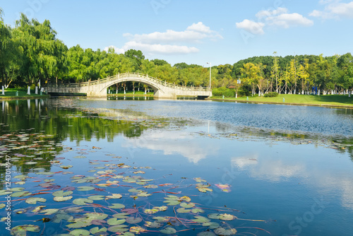 Early winter scenery at Yuanshi Park in Yinzhou District, Ningbo, Zhejiang Province, China photo