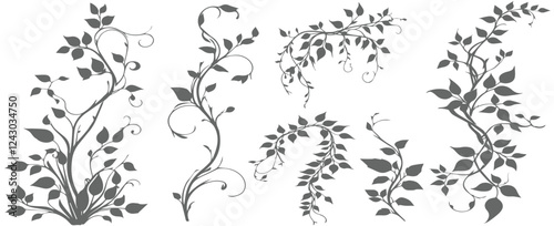Jungle creeper silhouettes. Tropical forest lianas, rainforest hanging sprouts