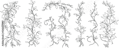 Tropical forest lianas, rainforest hanging sprouts. Climbing liana vines flat set vector illustration