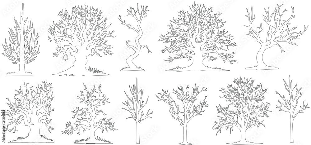 Fototapeta premium group of scary bare black trees without leaves