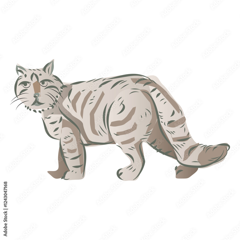 Fototapeta premium Cat Drawing and Vector Illustration
